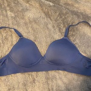 Small Blue Bra
